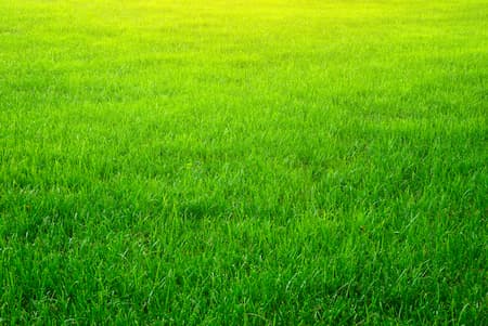Hydroseeding & Lawn Restoration Thumbnail